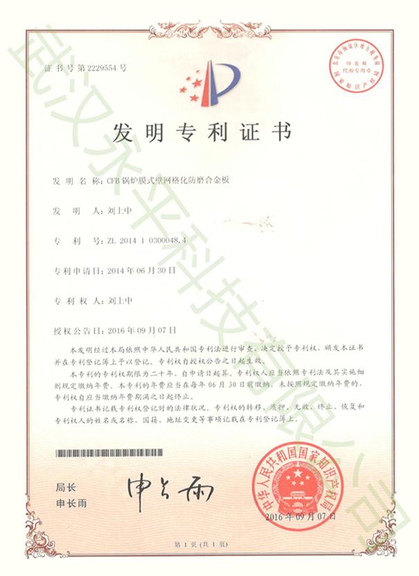 發(fā)明專利（一）